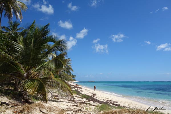 La Guadeloupe, Marie-Galante,les plages