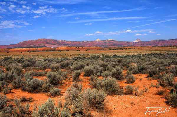 Arizona,  With an area of 295,254 km2, it is the 6th largest US state