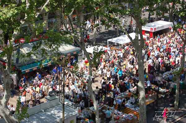 La Rambla is an emblematic avenue in barcelona