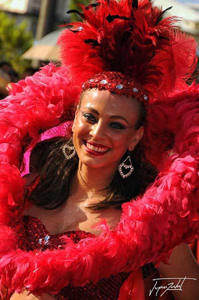 the carnival of fort de france in martinique, French West Indies, Caribbean