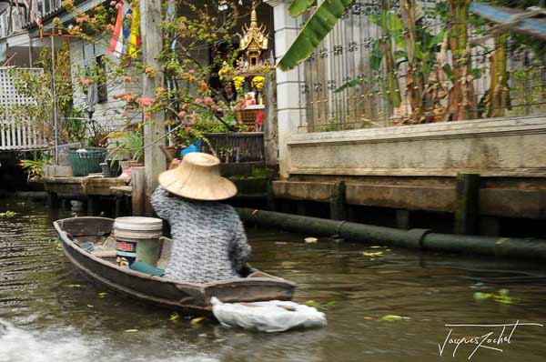 les klongs à Bangkok, thailande