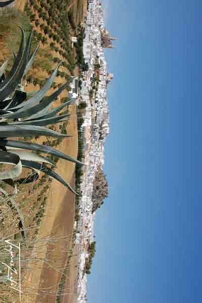 sud de l'espagne, l'andalousie