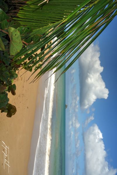 the guadeloupe, antilles française