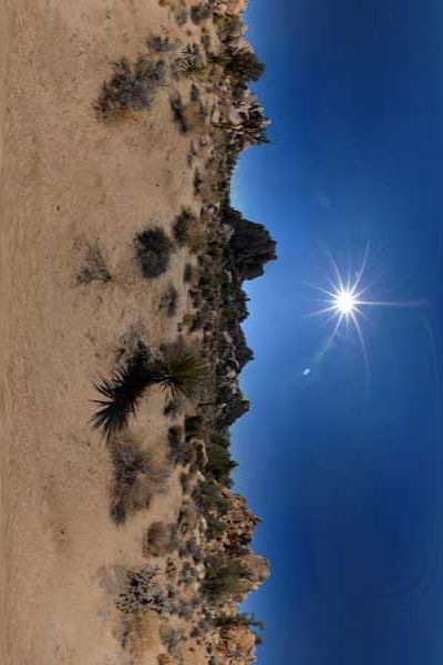 panoramas 360° of joshua tree national park in california