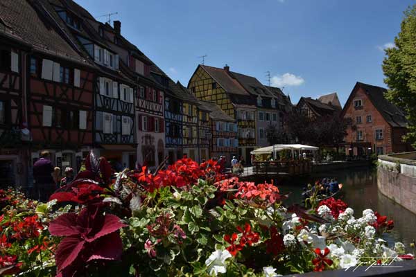 Colmar