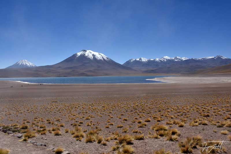 Les Lagunas Altiplanicas, 4200 m