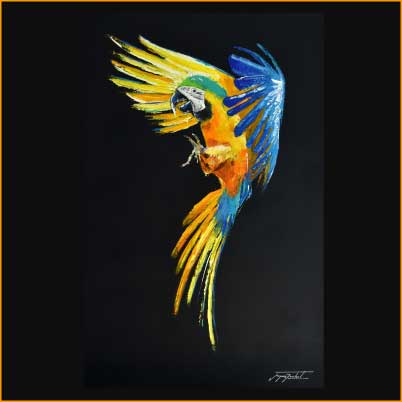 parrot, Acrylic on canvas, jacques rochet
