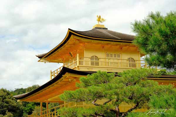 Temple d'or à Kyoto au Japon