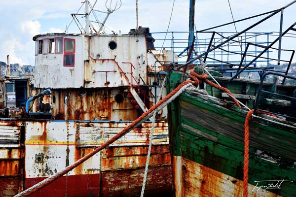 photo de Jacques Rochet, la nature, les voyages