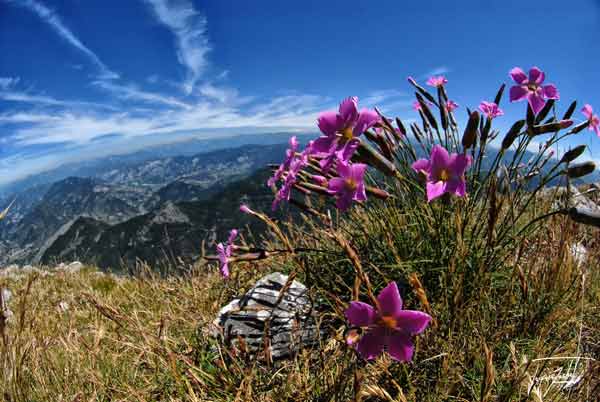 photo de Jacques Rochet, la nature, les voyages