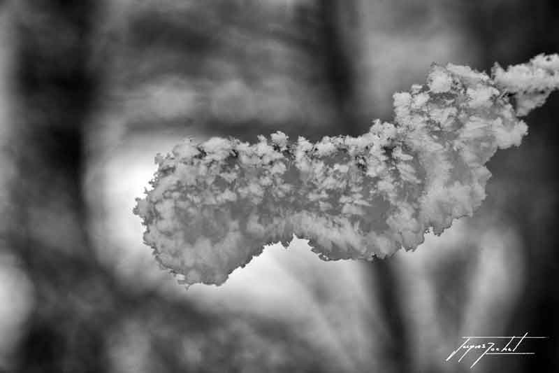 photo de Jacques Rochet, la nature, les voyages