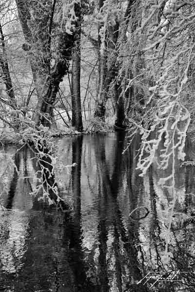 photographie noir et blanc, neige en hiver, image de la nature