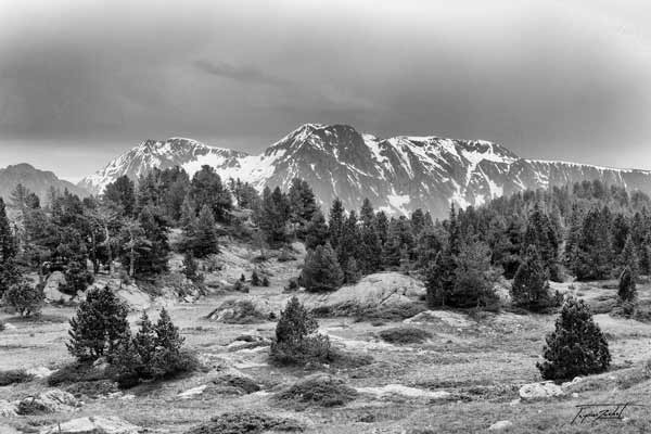 massif du Taillefert en Isère