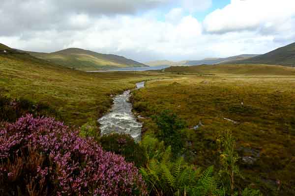 Paysage d'Ecosse