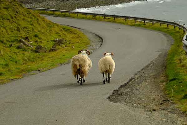 Paysage d'Ecosse