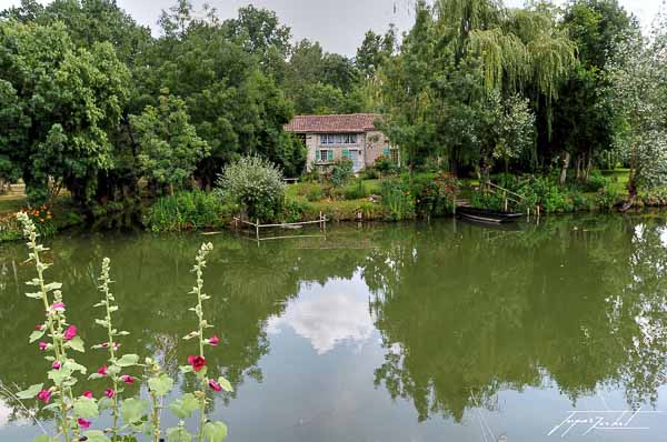 le marais poitevin, vendée
