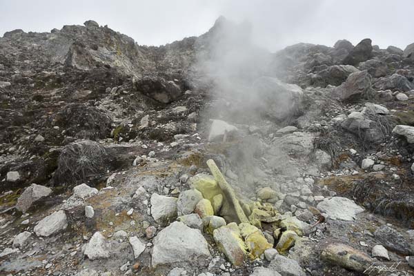 La Guadeloupe, volcan La Soufrière, les antilles Françaises