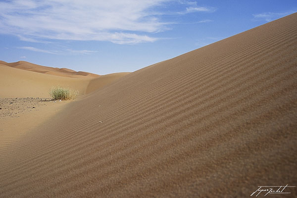 photos du Maroc, dunes de merzouga