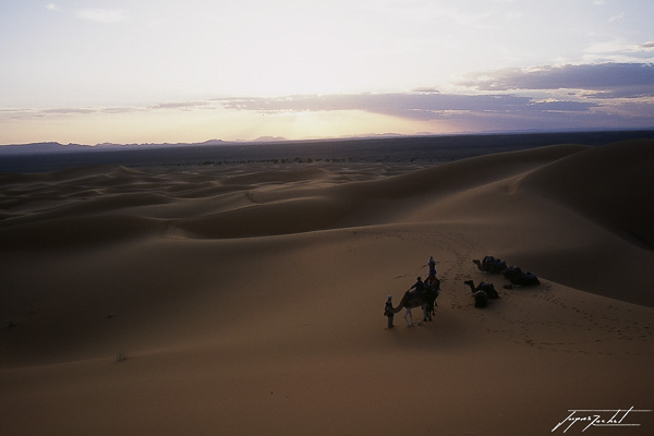 photos du Maroc, dunes de merzouga