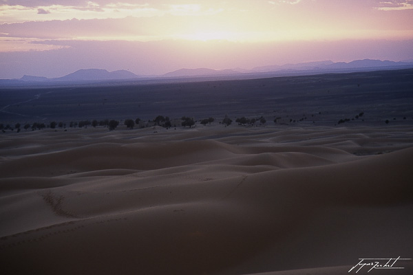 photos du Maroc, dunes de merzouga