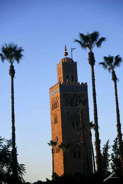 photos du Maroc, la koutoubia, Marrakech