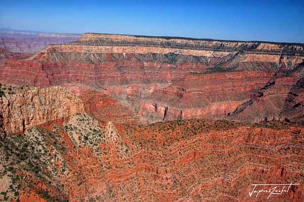 Aerial view of the Grand Canyon with the Colorado, Arizona