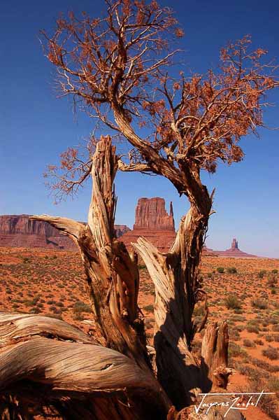 Monument Valley, Utah