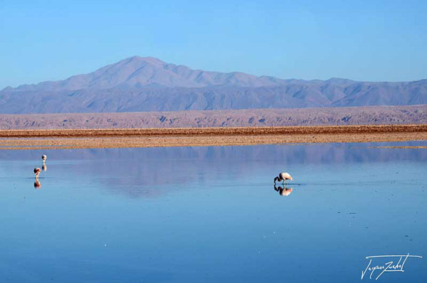 Photo of Chile, salar de atacama