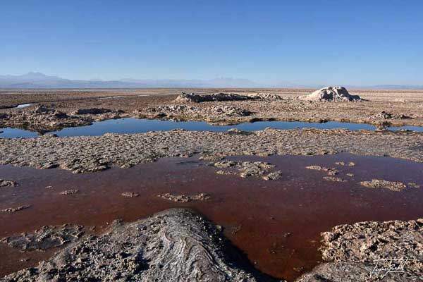 Photo du Chili, salar de atacama