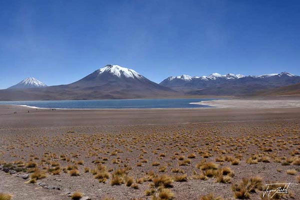 Photo of Chile, the Andean altiplano, 4200 m