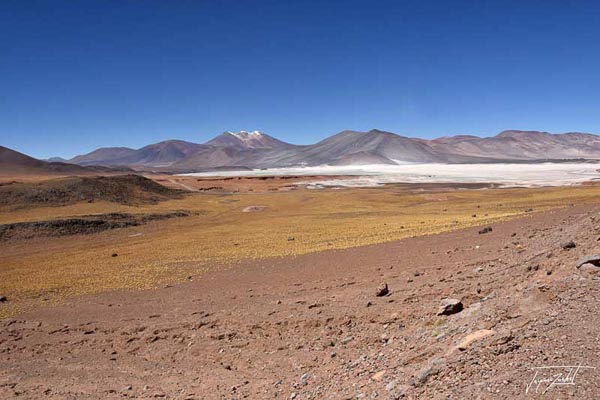 Photo of Chile, lagunas altiplanicas, 4200 m