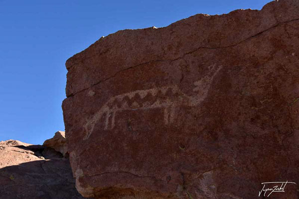 Photo du Chili, gravure dans la valle arco iris, désert de atacama