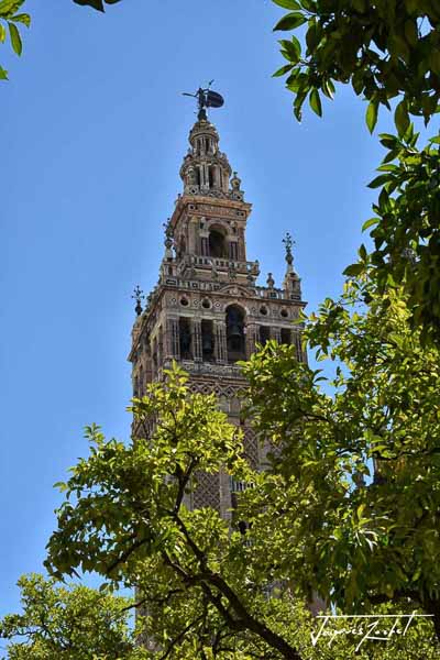 Cathedral of Seville, the bell tower, the Giralda, Andalusia in Spain, travel to Europe