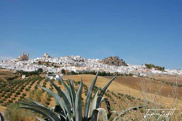 view of Olvera in Andalusia, Spain