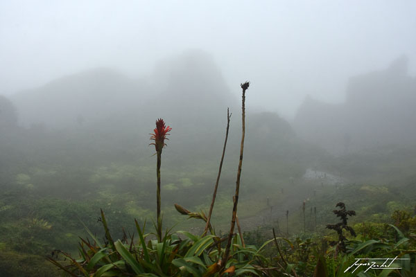 la soufrière en Guadeloupe, volcan des antilles Françaises