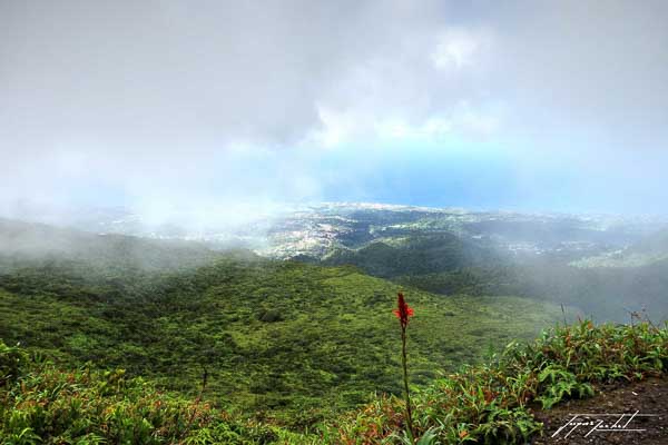 la soufrière en Guadeloupe, vue depuis la montée du volcan 