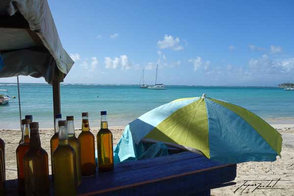 La Guadeloupe, marché à  Sainte Anne, les antilles Françaises