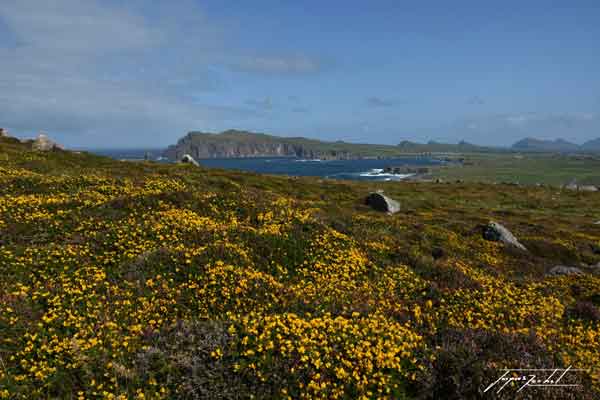 photos de l'Irlande, sur la route