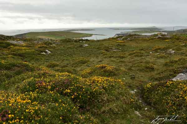 photos de l'Irlande, le donegal