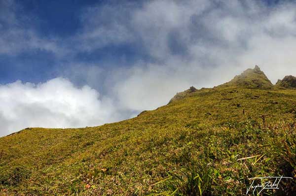 sur la montagne pelée en Martinique, antilles Françaises