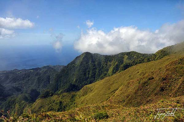 on the pelee mountain in Martinique, French West Indies