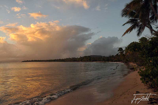 Plage des Salines à la Martinique, Antilles Française, Caraïbes