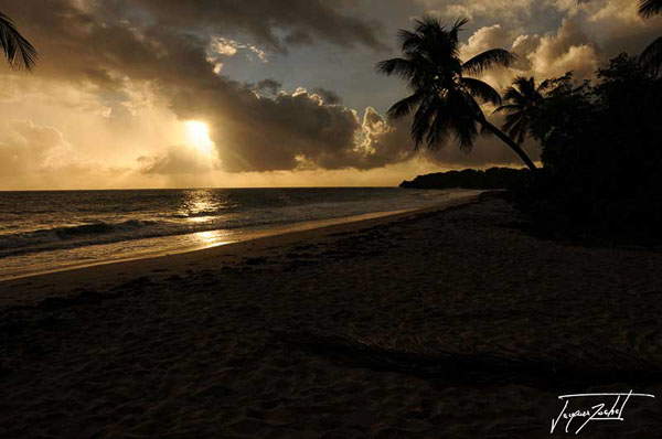 coucher de soleil sur une plage en Martinique, antilles Françaises