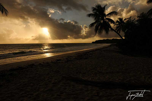 Sunset on a beach in Martinique, French West Indies