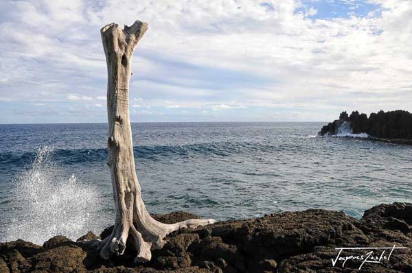 cap méchant sur l'ile de la réunion