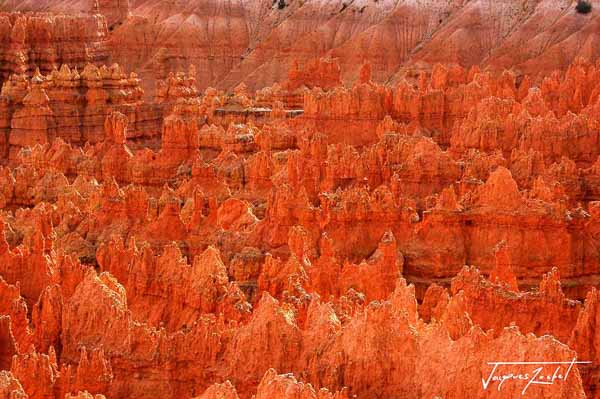 Bryce Canyon National Park in Utah